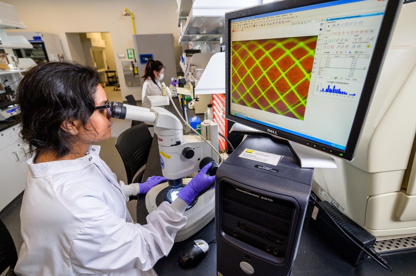 Biomedical & Life Science Research