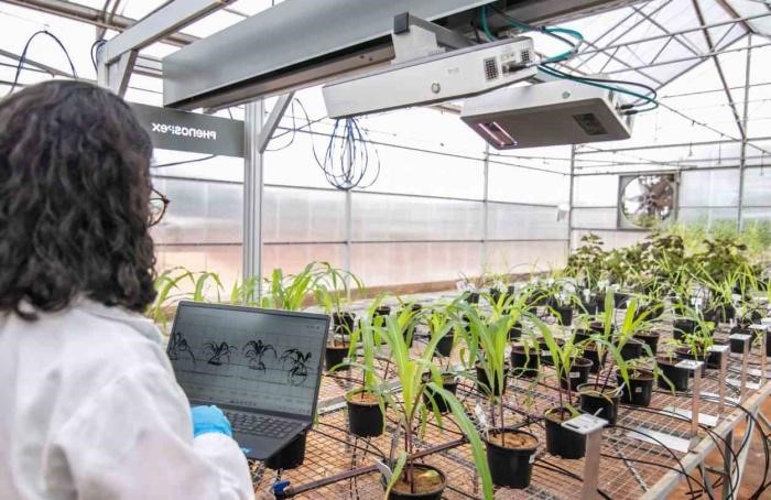 Research & Crop Analysis