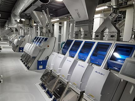Automated Sorting