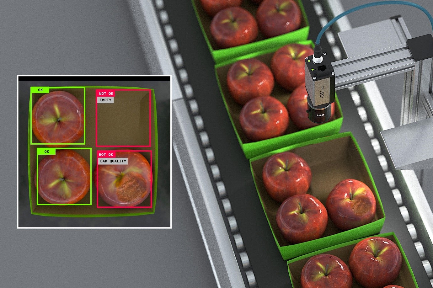Quality & Defect Identification