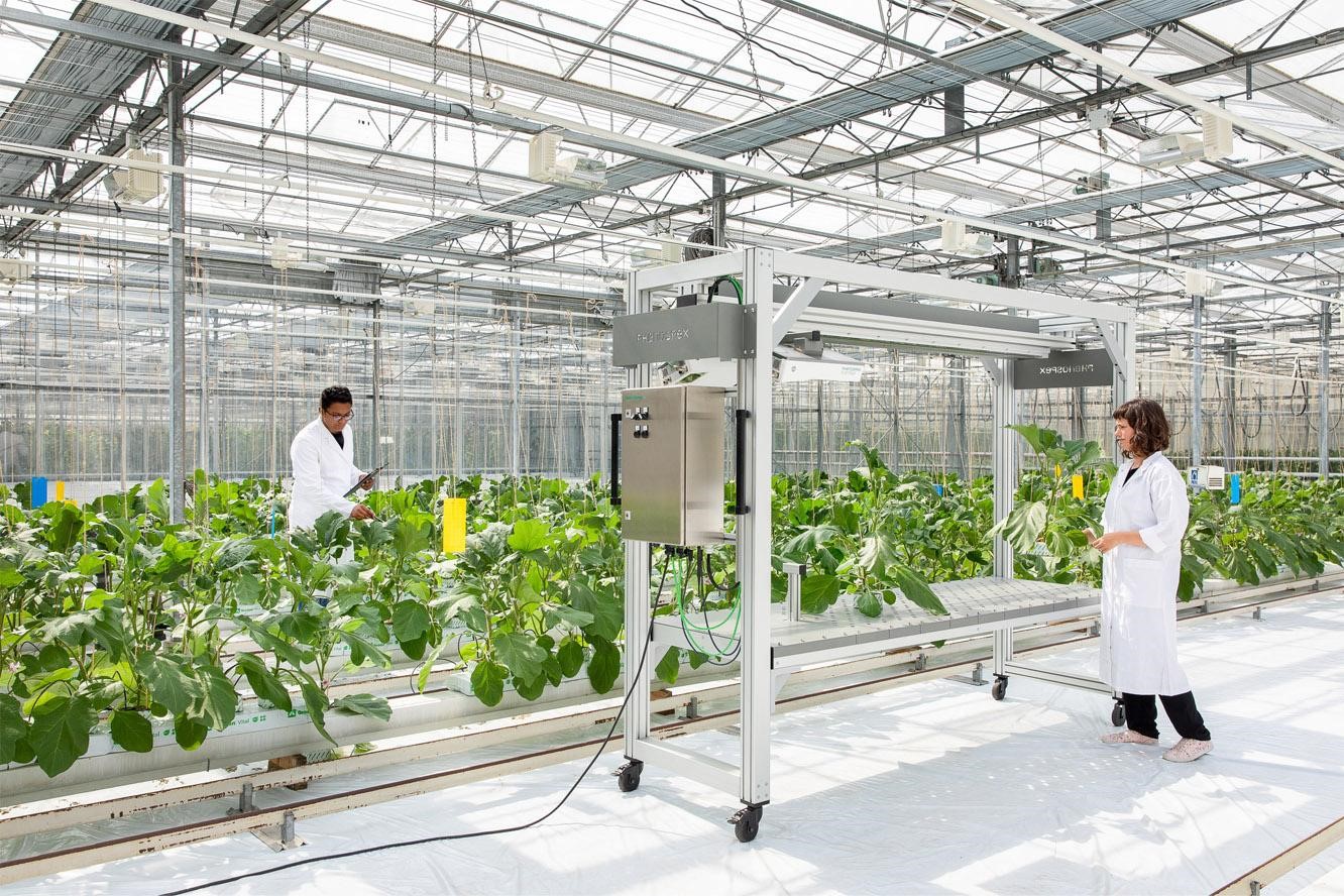 Research & Crop Analysis