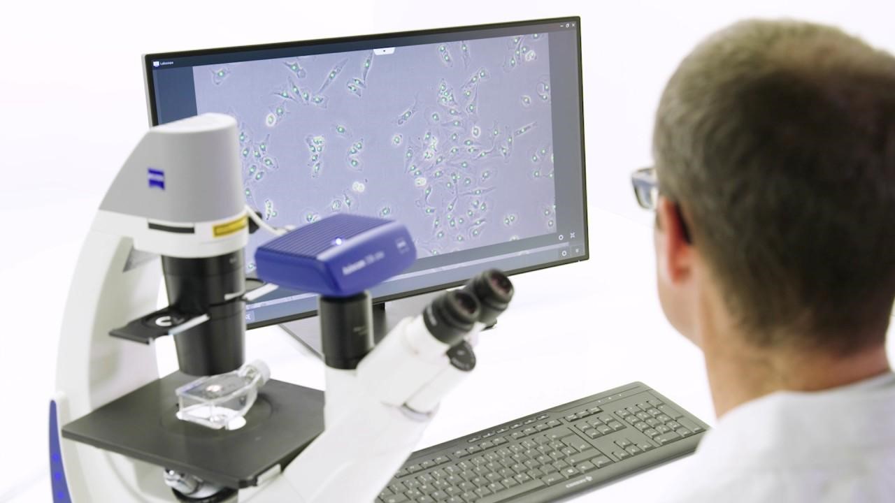 Cell & Biological Analysis