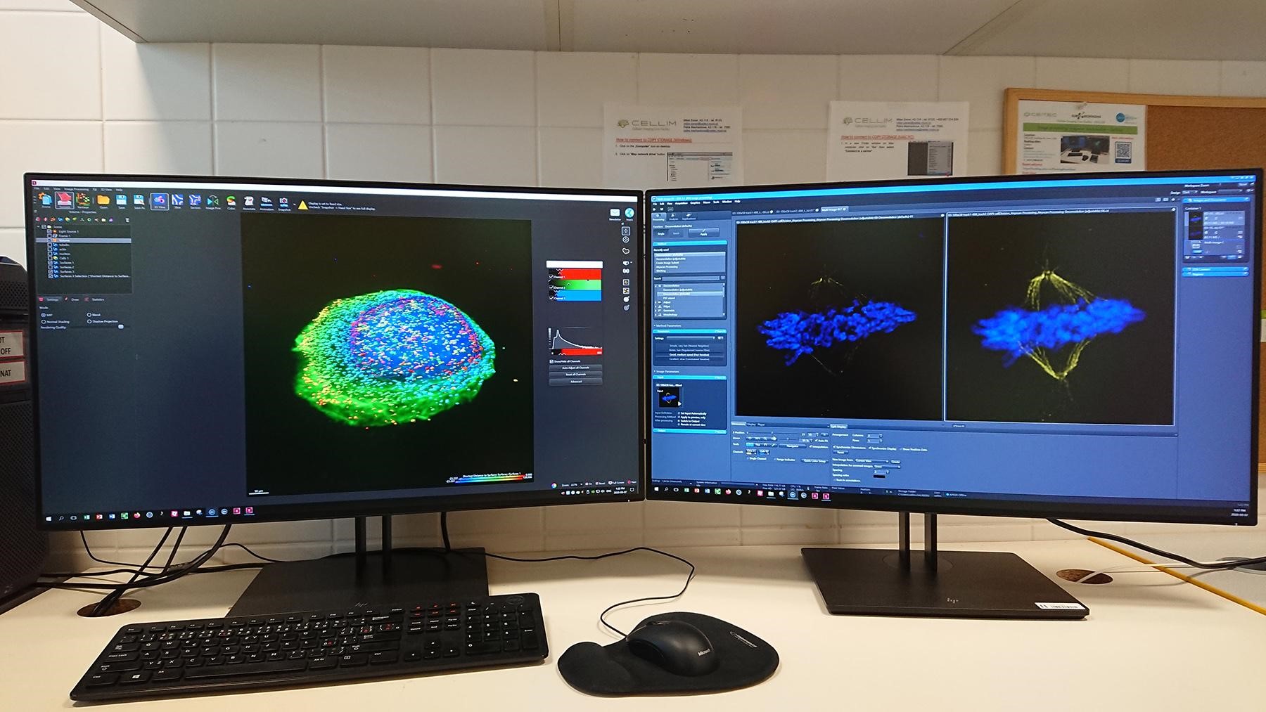 Scientific Image Processing