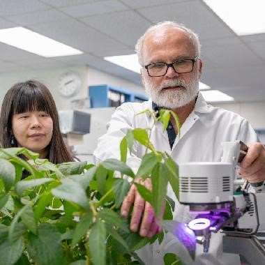 Research & Crop Analysis