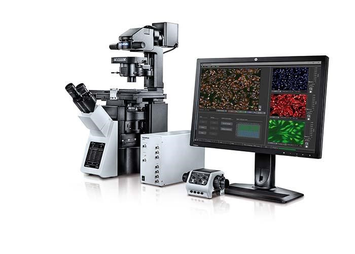 Cell & Biological Analysis